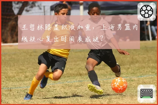 王哲林膝盖积液加重，上海男篮内线核心复出时间表成谜？